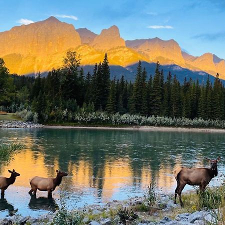 Unit #201 Cozy Mountain View 1Br In Dt Lejlighed Canmore Eksteriør billede